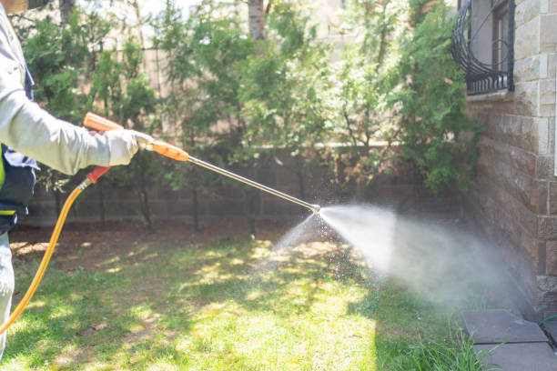 Bird Control in Heath, OH